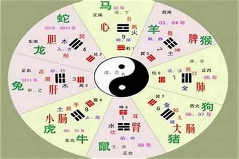 曉 五行|晓的五行属什么,晓字的五行属性,晓的寓意